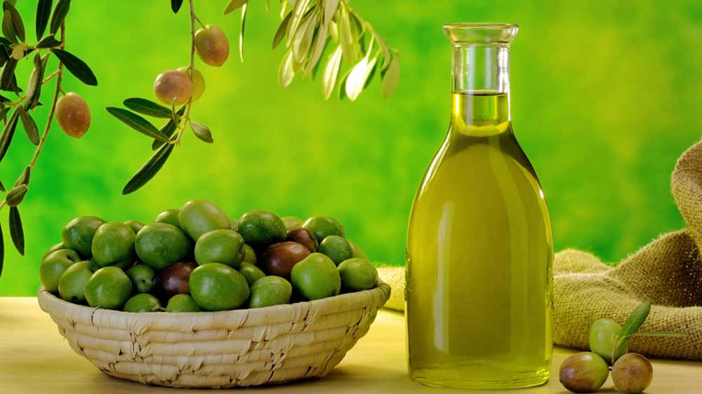 Ελιές και Ελαιόλαδο